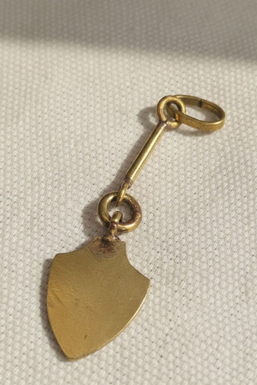 Coat-of-Arms Charm